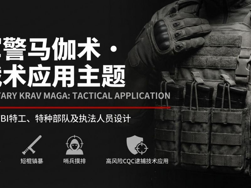 军警马伽术 &middot; 战术应用主题（含6大主题）