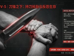 刀锋之下：持刀抢劫与反恐生存