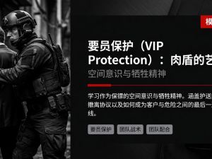 要员保护 (VIP Protection)：肉盾的艺术